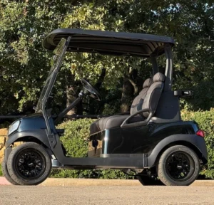 2018 Club Car Tempo 2 Passenger Lithium Golf Carts for Sale (3)
