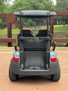 2019 Club Car Tempo 2 Passenger Electric Golf Carts for Sale (11)