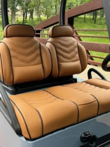 2019 Club Car Tempo 2 Passenger Electric Golf Carts for Sale (7)