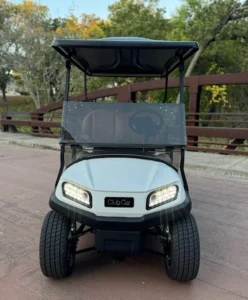 2020 Club Car Tempo 4 Passenger Electric Golf Carts for Sale (2)