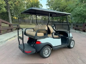 2020 Club Car Tempo 4 Passenger Electric Golf Carts for Sale (4)