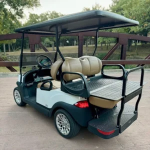 2020 Club Car Tempo 4 Passenger Electric Golf Carts for Sale (6)