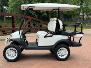 2020 Club Car Tempo 4 Passenger Lithium Ion Golf Carts for Sale (4)