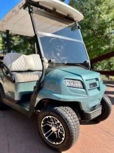 2025 Club Car Onward 2 Passenger Electric Golf Carts for Sale (5)