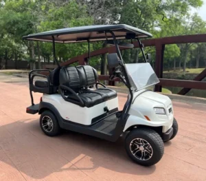 2025 Club Car Onward 4 Passenger Electric Golf Carts for Sale27 (2)