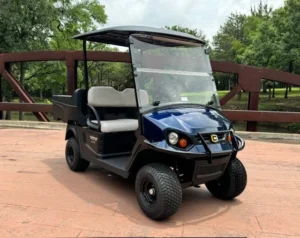 2025 Cushman Hauler 800 Elite 2 Passenger Lithium Ion Utility Carts for Sale (11)