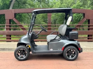 2025 E Z GO Freedom RXV Elite 2 Passenger Lithium Ion Golf Carts for Sale39 (2)