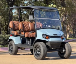 2025 E Z GO Liberty ELiTE 4 Passenger Lithium Golf Carts for Sale38 (3)