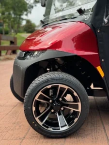 2025 E Z GO RXV 2 Passenger Lithium Ion Golf Carts for Sale (6)