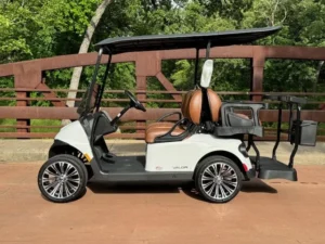 2025 E Z GO Valor 4 Passenger Lithium Ion Golf Carts for Sale43 (12)