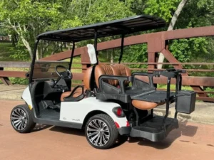 2025 E Z GO Valor 4 Passenger Lithium Ion Golf Carts for Sale43 (5)