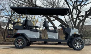 2026 Denago EV Rover XL 6 Passenger Lifted Lithium Golf Carts for Sale (5)