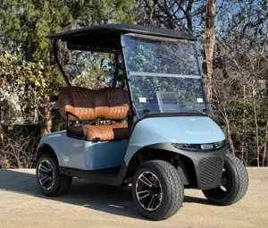 2026 E Z GO Freedom RXV Elite 2 Passenger Lithium Ion Golf Carts for Sale(Ocean Gray) (3)