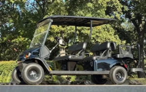 2026 E Z GO Valor 6 Passenger Electric Golf Carts for Sale (4)