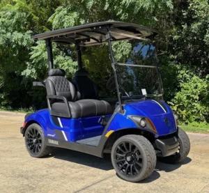 2026 Yamaha Drive2 2 Passenger Gas Golf Carts for Sale (6)